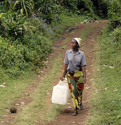 Walking Down a Path in Tanzania ...-_dsc9521_2_px800.jpg