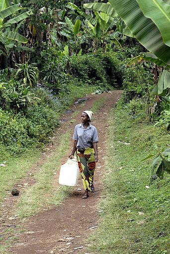 Walking Down a Path in Tanzania ...-_dsc9521_full_px800.jpg