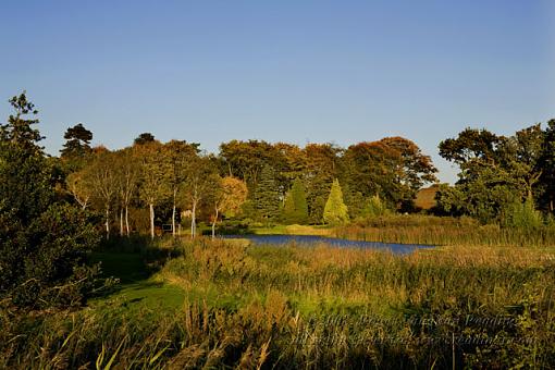 Autumnal Norfolk Broads-_mg_5523-640.jpg