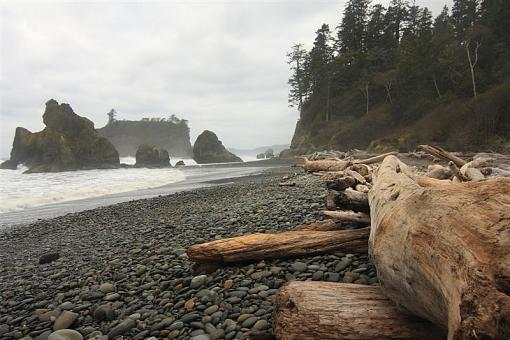 Color or Greyscale for Washington Coast-bw5-medium-.jpg