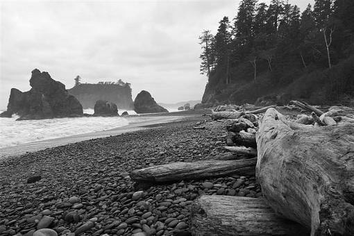 Color or Greyscale for Washington Coast-encenter-1-1-5-medium-.jpg