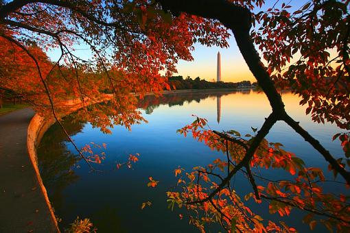 Tidal Basin Fall-000-338.jpg