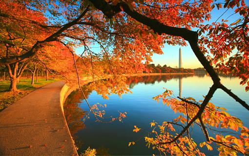 Tidal Basin Fall-img_3563-151-178-.jpg