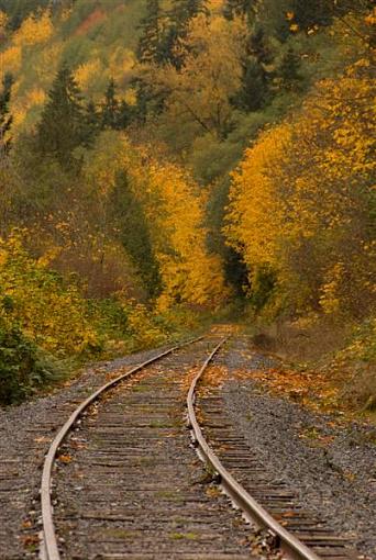 tracking into fall.-2008-11-01_2506-medium-.jpg