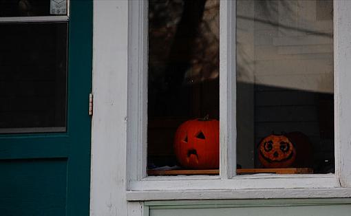 Warsaw Street-pumpkinssm.jpg