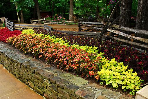 Branson Mo. Silver Dollar City flower bed-dsc_4147-copy-800.jpg