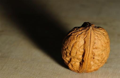 The Walnut-nut-up-close1.jpg