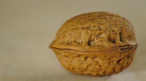 The Walnut-nut-up-close4.jpg