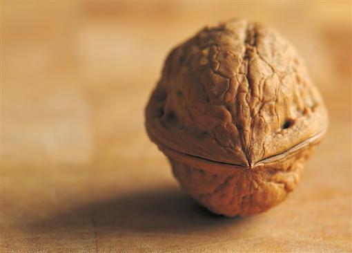 The Walnut-nut-up-close5.jpg