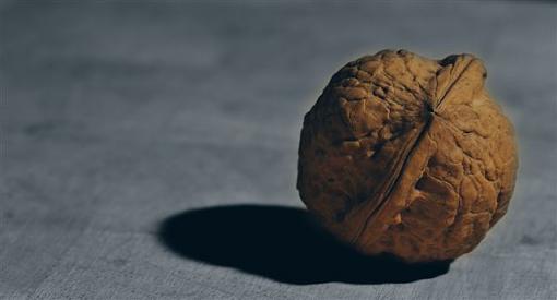 The Walnut-nut-up-close-b-w-c.jpg