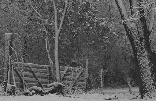 A Sticky Snow-p21-bw.jpg