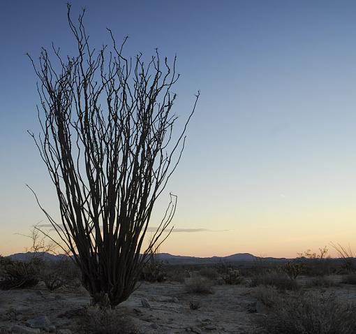 Back to the Desert-_dsc1057_px800.jpg