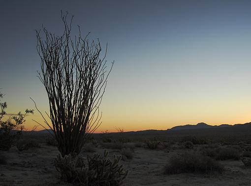 Back to the Desert-_dsc1060_px800.jpg