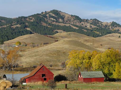 Banner Barn-banner-barn-crop.jpg