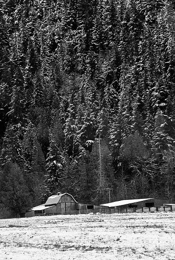 Another barn-2009-01-03_2935.jpg