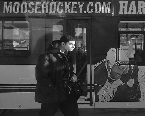 Man in the Bus Loop-moosehokeysm.jpg