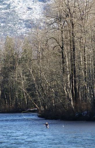 Fisherman Skagit River-skagit-fisherman.jpg