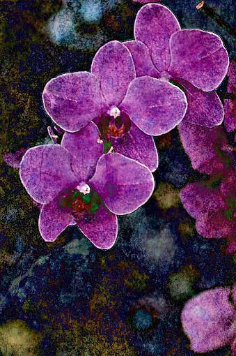 orchid art-orchid-art-0030.jpg