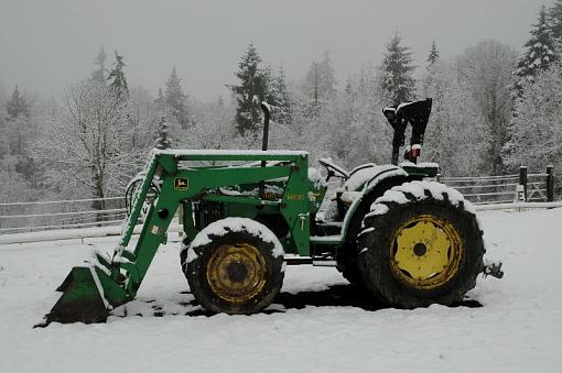 Tracker in snow-dsc_5726e.jpg