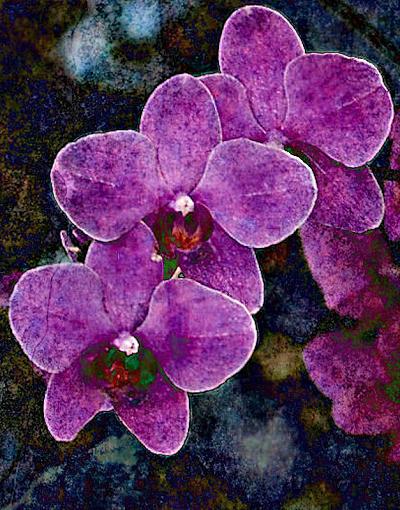 orchid art-orchid-art-cropped.jpg