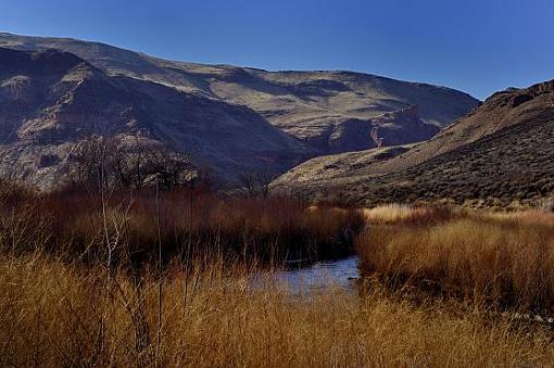 Late afternoon on the river-riv.jpg