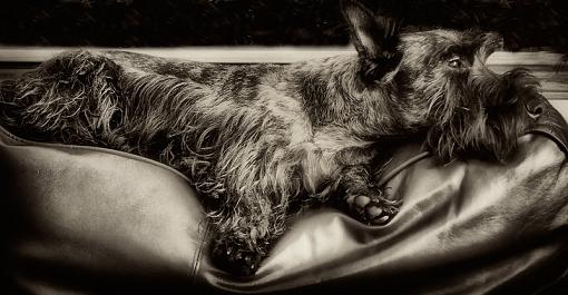 A Tough Life-malkieb-w.jpg