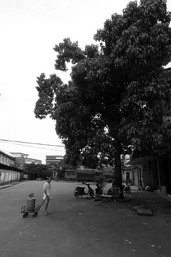 Village Life in Shunde, China-shunde-082004-038bw.jpg