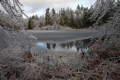 Ice Storm - The Landscape-img_phr.jpg