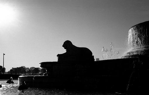 film+lion+sun-img054cr.jpg