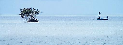 vanishing point-flamingo_pano_3.jpg