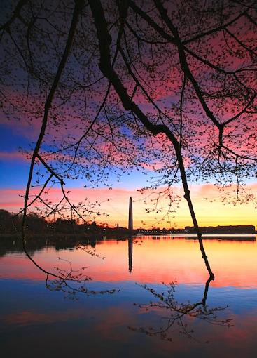 Washington Monument #Gazillion and 5-000-1-.jpg