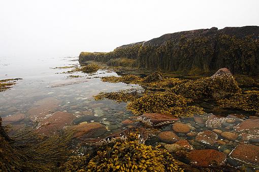 Rocks, water and fog-img_0952_master_phr.jpg