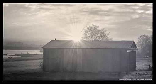 Old barn (B&amp;W)-bw%2520bird%2520roof-nograin.jpg