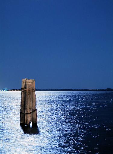 Pilings on a moonlit bay-2009-04-08vizcaya58.jpg