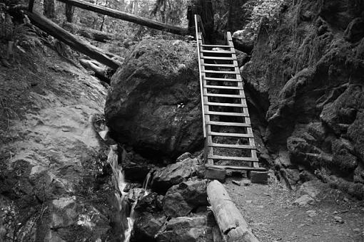 Bridge on trail-bridge.jpg