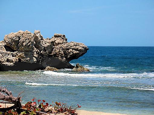 Beach-rocks.haiti.jpg