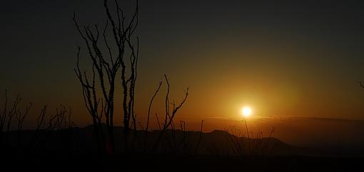 Desert Sunrise-_dsc4656_px800.jpg