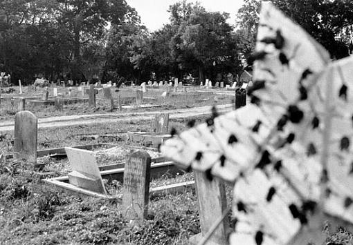 Last Two: Graves from Holt Cemetary-cem_2b.jpg