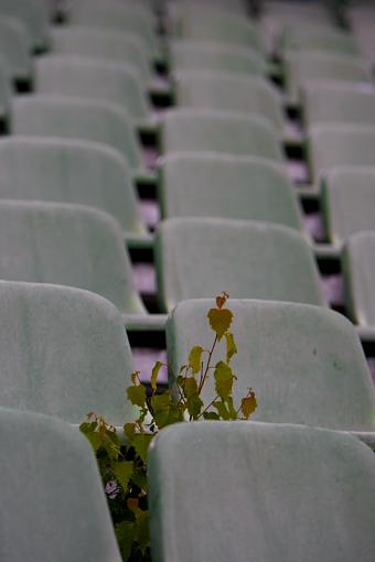 among the seats-_a3p4616.jpg