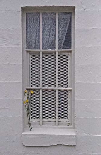 window-dsc_0028.jpg