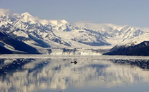 Glacier Bay Alaska-glacier_bay.jpg