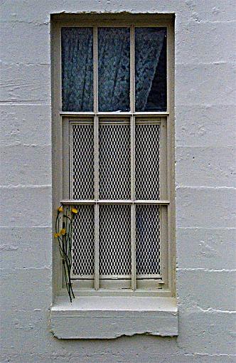 window-dsc_0028-redone.jpg