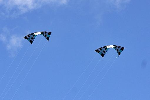 Brighton Kite Festival-1-117-.jpg