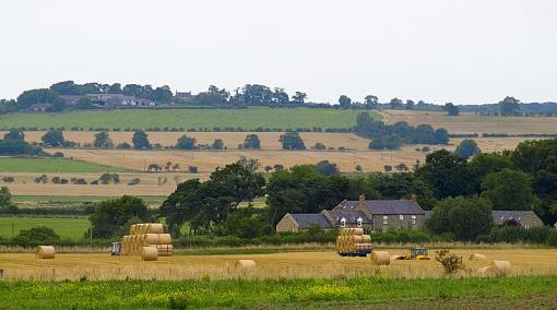 I've had a go at some landscape.-harvest5.jpg