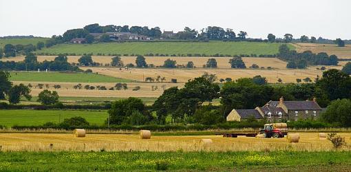 I've had a go at some landscape.-harvest3.jpg