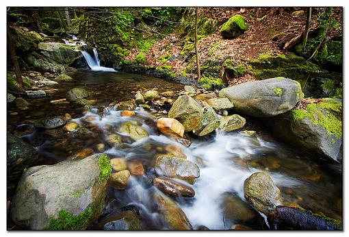 Uvas Canyon-img_0720a-x800.jpg