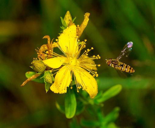 Landing-atterraggio-corr.jpg