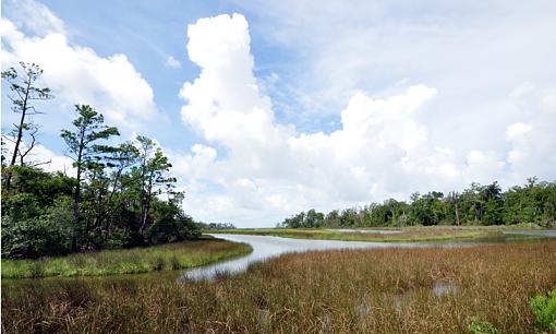 Bayou sceen taken this morning-dsc_1089-copy.jpg