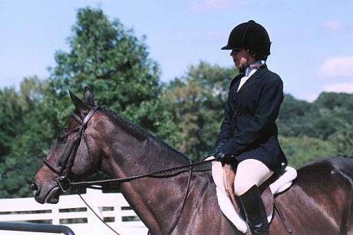 Horse show pictures-jackson2.jpg