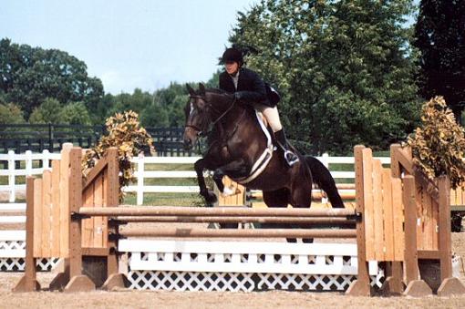 Horse show pictures-jackson4.jpg